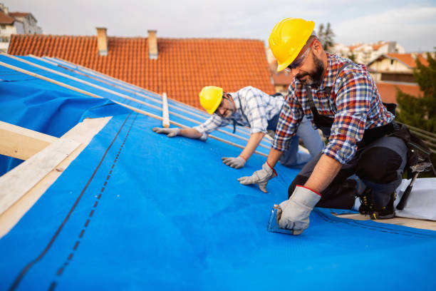 Best Metal Roofing Contractor  in Bayou Country Clu, LA
