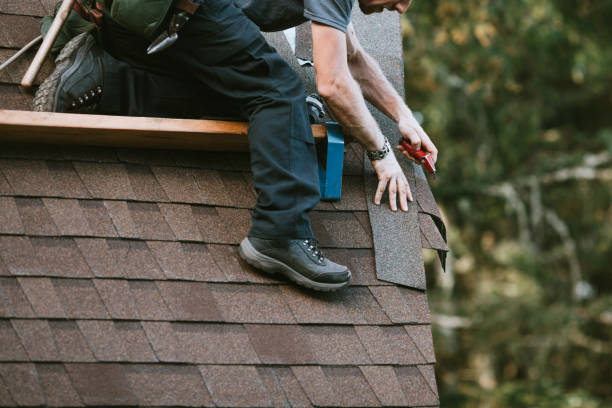 Best Roof Maintenance Services  in Bayou Country Clu, LA